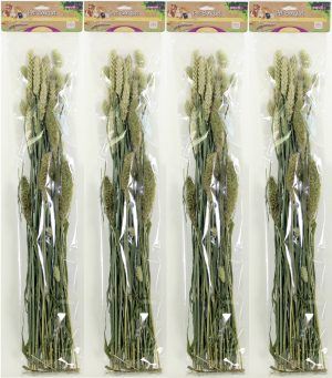 Pet Bouquet Knaagveld