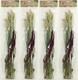 Pet Bouquet Knabbelstruik