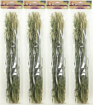 Pet Bouquet Haverland