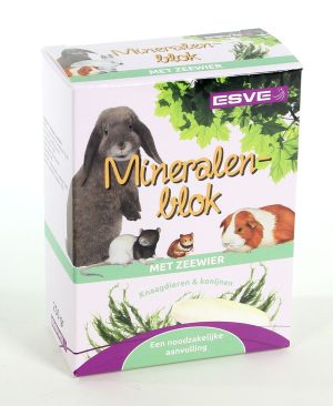 Mineralenblok met Zeewier