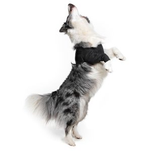 Recovery Sleeve Zwart Medium